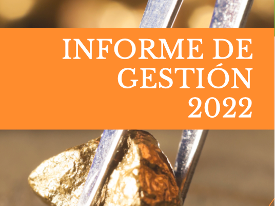 Informe de Gestión GDIAM 2022